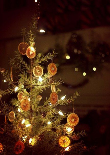 11a598ba3edf4e30a5ab14b64519f656