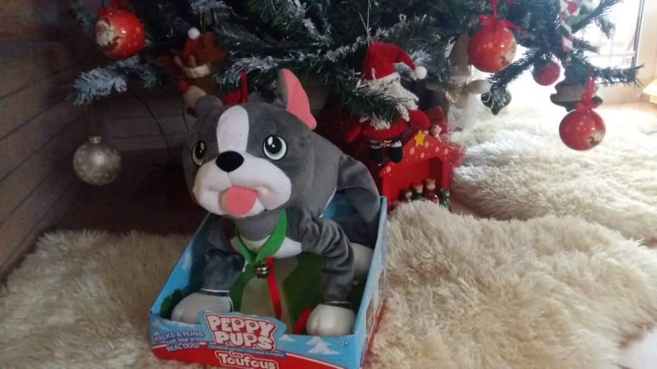 47175968_2122581304474885_1920235828857012224_n