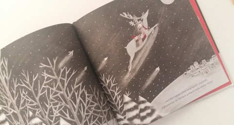 47045530_741867366179534_7830607592660402176_n